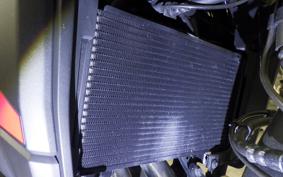 HONDA NX400 2024 NC65