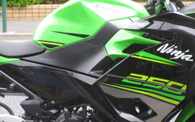 KAWASAKI NINJA 250 EX250P