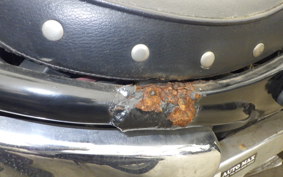 YAMAHA VIRAGO 250 3DM