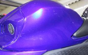 YAMAHA YZF-R25 2019 RG43J