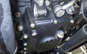 OTHER +ENFIELD ｼｮｯﾄｶﾞﾝ650 2024