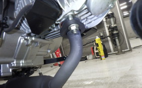 HONDA MONKEY 125 2025 JB03