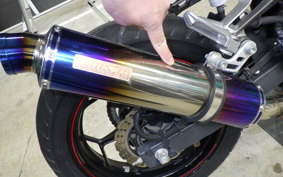 KAWASAKI NINJA 250 ABS EX250L