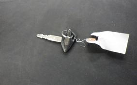 SUZUKI INTRUDER 400 Classic 2005 VK54A