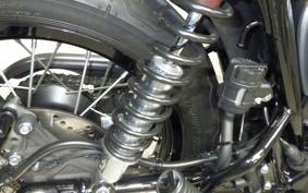 KAWASAKI W800 CAFE 2020 EJ800B