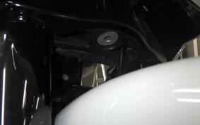 HARLEY FLTRXSE1920CVO 2020