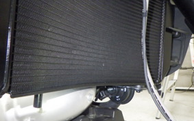 INDIAN FTR1200S 2025