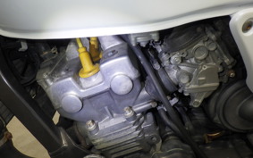 HONDA HORNET 250 2024 MC31