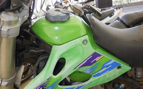 KAWASAKI KLX250 ES Type 2000 LX250E