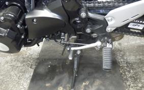 KAWASAKI Z900RS 2024 ZR900K