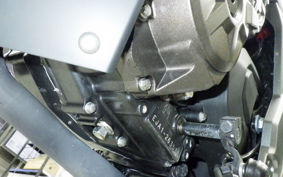 SUZUKI Vｽﾄﾛｰﾑ250SX 2011 EL11L