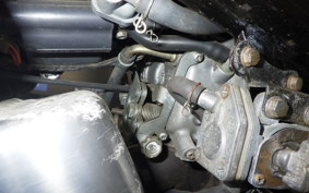 YAMAHA VIRAGO 250 2005 3DM