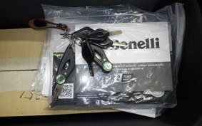 BENELLI TRK251 2025