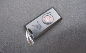 HONDA FORZA X MF10