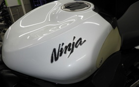 KAWASAKI NINJA ZX-6R A 2021 ZX636G