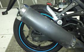 KAWASAKI NINJA 250R EX250K