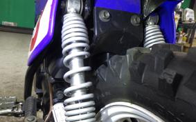 YAMAHA PW50 2007 3PT
