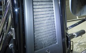 HARLEY FXBR1920 2024