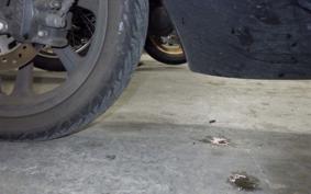 HONDA PCX 125 2025 JF81