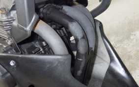 HONDA HORNET 250 2022 MC31