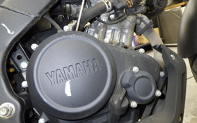 YAMAHA XSR155
