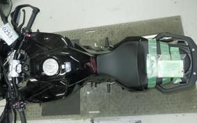 BMW S1000XR 2023