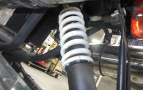 OTHER +UNREGISTERED MODEL by BDS TRIKE250 GW