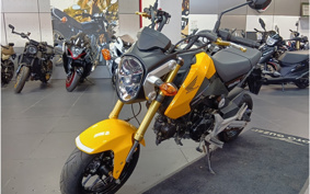 HONDA GROM JC61