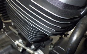 HARLEY FXBB1750 2020