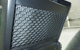 HONDA REBEL 250 S MC49