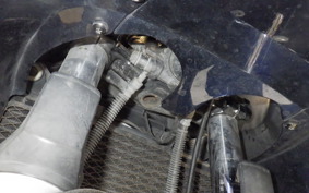 KAWASAKI ZZ-R400 Gen.2 2006 ZX400N