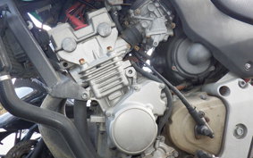 HONDA HORNET 250 1982 MC31