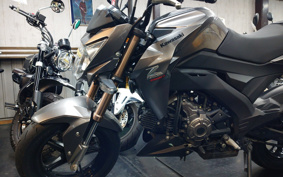 KAWASAKI Z125 PRO BR125H