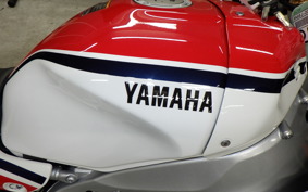 YAMAHA XSR900 GP 2026 RN96J