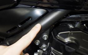 KAWASAKI Z900RS CAFE 2021 ZR900C