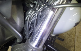 HONDA GB350S 2024 NC59