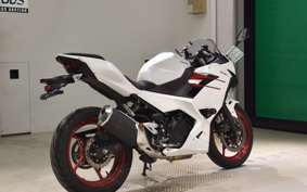 KAWASAKI NINJA 250 2021 EX250Y