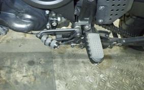 HARLEY ﾊﾟﾝ AMERICA1250S 2023