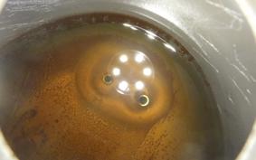 HONDA C50 SUPER CUB AA01