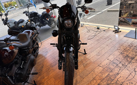 HARLEY FXLRS 2023 YWZ