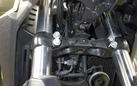 SUZUKI Vｽﾄﾛｰﾑ250SX 2024 EL11L