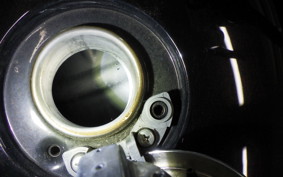 KAWASAKI W800 2017 EJ800A