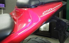 YAMAHA YZF-R25 2019 RG10J