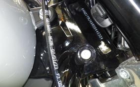 HARLEY FLSB 1750 2025