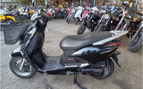 HONDA LEAD 50 JF19