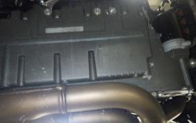 INDIAN FTR1200 2021