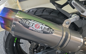 KAWASAKI NINJA 250 EX250P