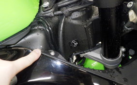 KAWASAKI NINJA ZX-6R A 2020 ZX636G