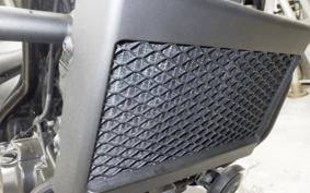 HONDA REBEL 250 MC49