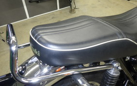 KAWASAKI W800 2018 EJ800A